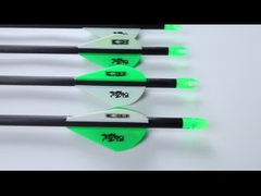 .204 moordenaar pijlen