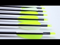 standaard grootte 6.2mm jacht- en doelpalen blast pro serie