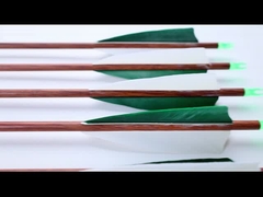 trad houtkorrels pijlen